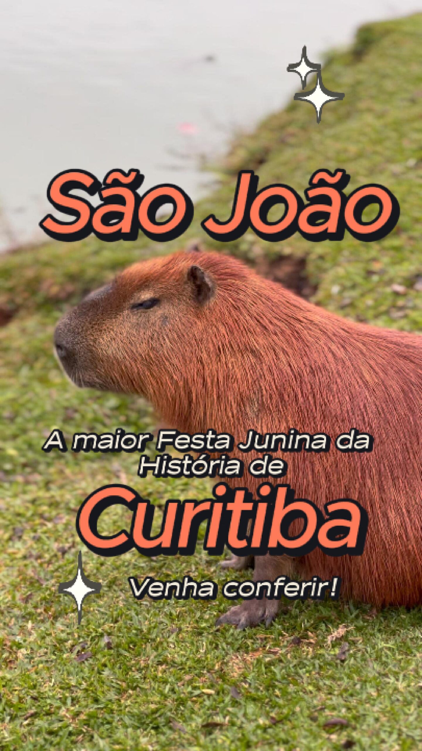 1750231572508552497185095242190219993131676128649882866njpg Quadrilha Junina